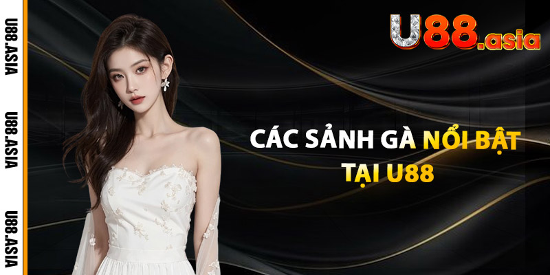Các Sảnh Gà Nổi Bật Tại U88