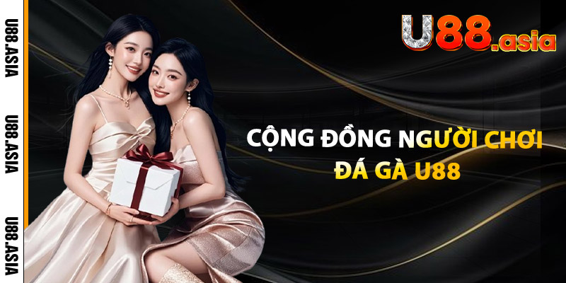 Cộng Đồng Người Chơi Đá Gà U88