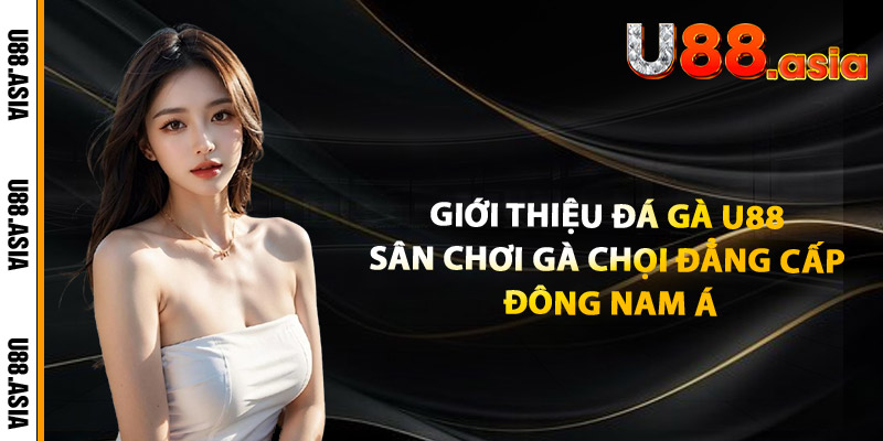 Giới Thiệu Đá Gà U88 – Sân Chơi Gà Chọi Đẳng Cấp Đông Nam Á